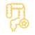 cancer