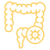 colorectal