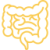 intestine (1)