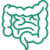 intestine