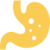 stomach